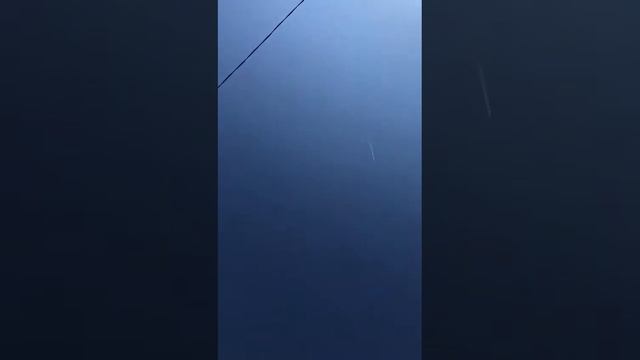 Лёт чисто бакинских голубей в Саратове. смотреть онлайн