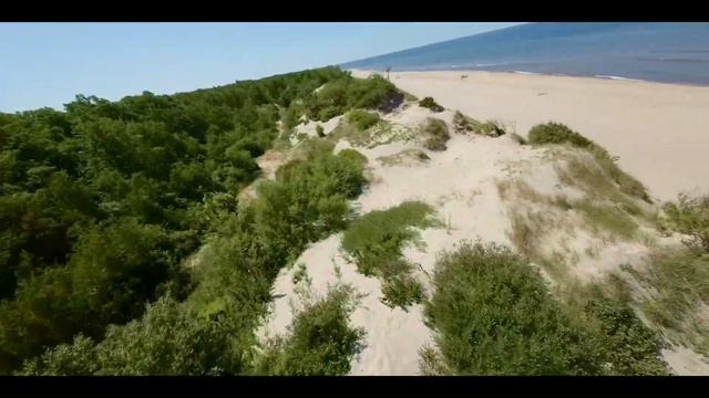 Куршская коса июнь 2023 смотреть онлайн