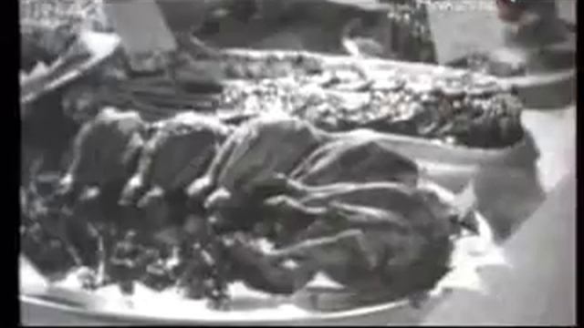 Дуновение века: Русская мода 1920-е. Александр Васильев смотреть онлайн