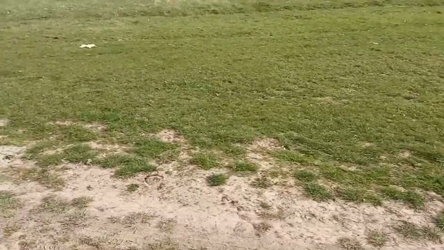 электросамокат Kugoo G2 Pro новые испытания