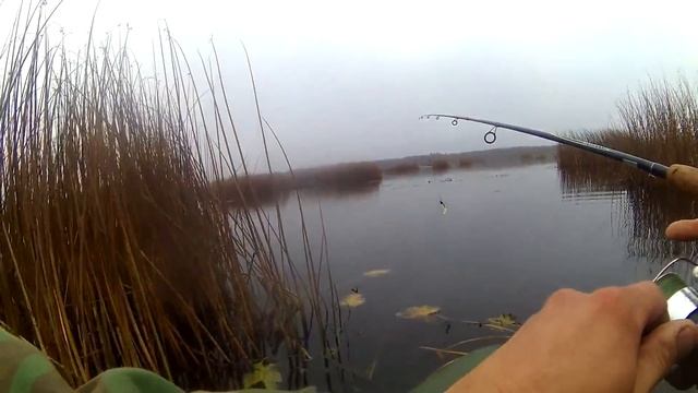 Рыбалка на озере ворохобское. смотреть онлайн