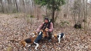 ОХОТА С ЭСТОНСКИМИ ГОНЧИМИ