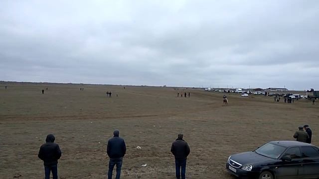 Скачки в Риквани 20.03.2017 смотреть онлайн