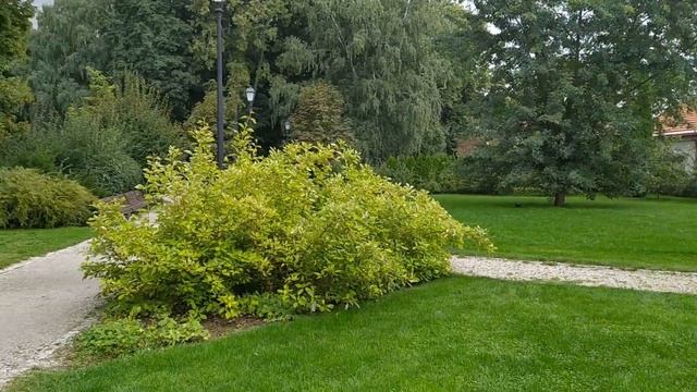 Туристический Вильнюс: центральный парк - Сад Бернардинов (Bernardiu sodas) смотреть онлайн