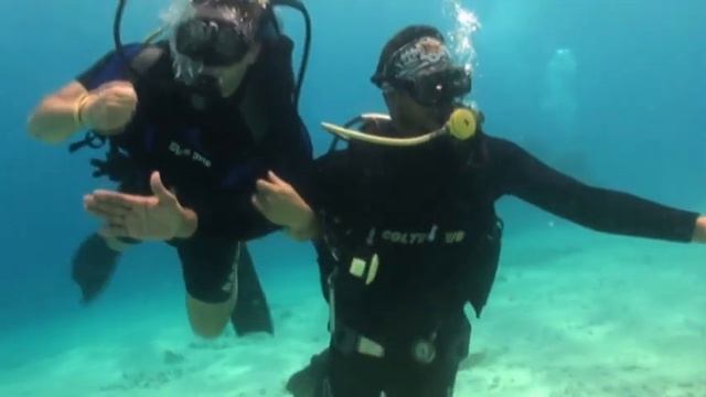 VTS 01 1 смотреть онлайн