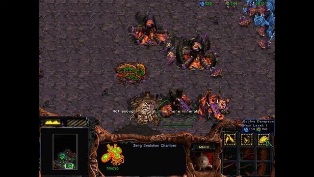 Starcraft 1 - Zerg Campaign: Mission 3 (The New Dominion) [WALKTHROUGH] смотреть онлайн