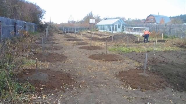 В. Железов о непознанном, о главной тайне Земли, биополе и как спасти своё здоровье! смотреть онлайн