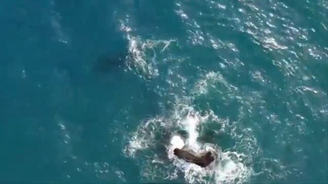 30 МИНУТ, ЧТОБЫ РАССЛАБИТЬСЯ И КРЕПКО СПАТЬ смотреть онлайн