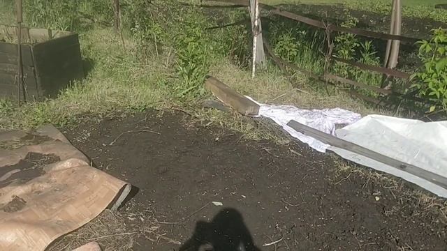 Совёнкина дача 35 - Сеем горох смотреть онлайн