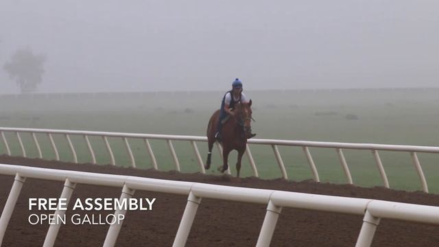 Harris Farms Horse Division Workouts 1/12/19 смотреть онлайн