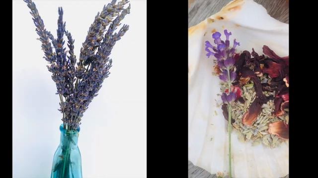 TL Lavender Hibiscus Summer Sunrise/Sunset Mocktail/Cocktail смотреть онлайн