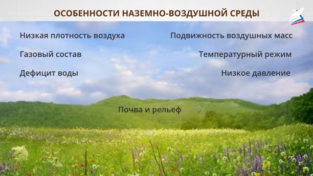 Среды жизни и средообразующая деятельность организмов смотреть онлайн