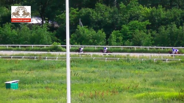 11.06.2023 - Приз в честь кобылы Активной на кобылах 3-х лет чистокровной верховой породы - Ла Граф смотреть онлайн