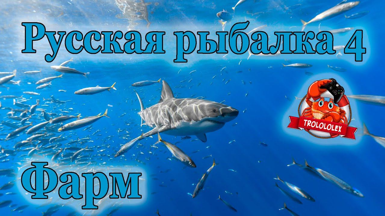 Русская рыбалка 4 Норвежское море фарм смотреть онлайн