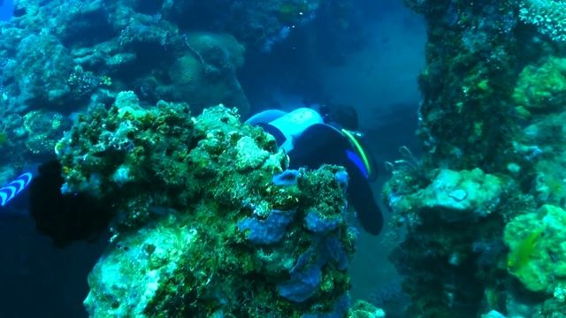 Diving From Honiara. (Solomon Islands 1)