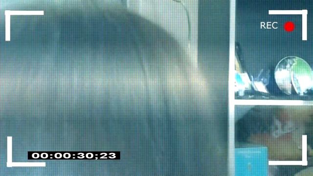 Доктор на день рождения! смотреть онлайн