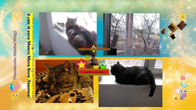 4 кота 4 cats Что не любят Котики? мяту болотную или блоховник семейства Яснотковые смотреть онлайн
