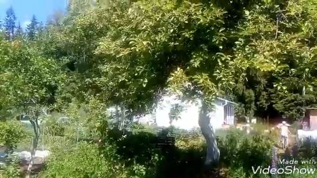 VLOG || Упала с велосипеда? || Дача || Наш день на даче || Darya Veselove || смотреть онлайн