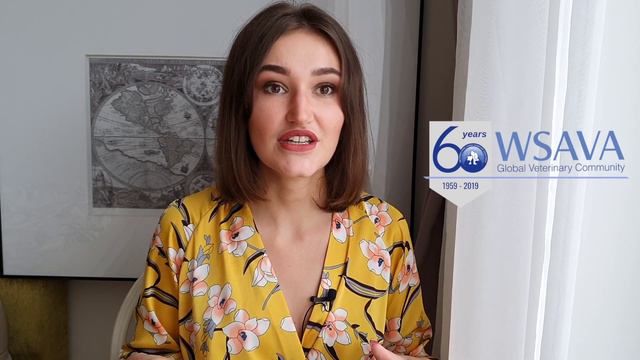Как выбрать ветеринарного врача? Причем здесь Америка и Европа?