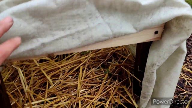 Моя любимая Дача 20 октября 2023 г/ Продолжаю мастерить/ Готовлю сад к зиме смотреть онлайн