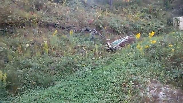 Участок в Сочи 14,5 соток за 3,65 млн на Мацесте смотреть онлайн