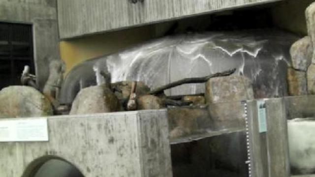 монтерей. аквариум 029 смотреть онлайн