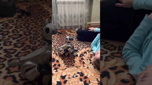 Робопес Sony AIBO – легендарная собака-робот смотреть онлайн