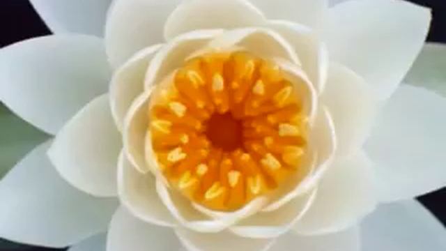 Песня про маму на Турецком языке♡♡ смотреть онлайн