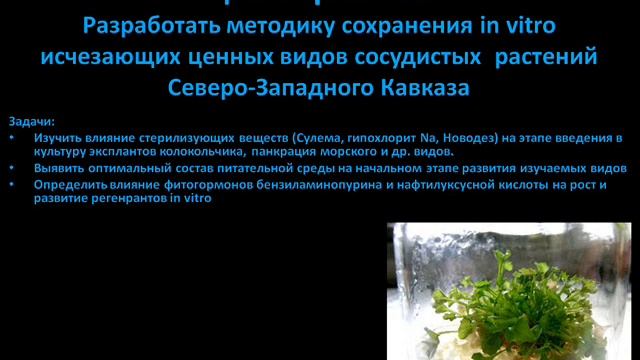 сохранение исчезающих видов растений in vitro.wmv смотреть онлайн