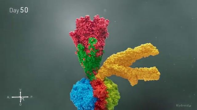 Engineering Multiple Organs in a Dish смотреть онлайн