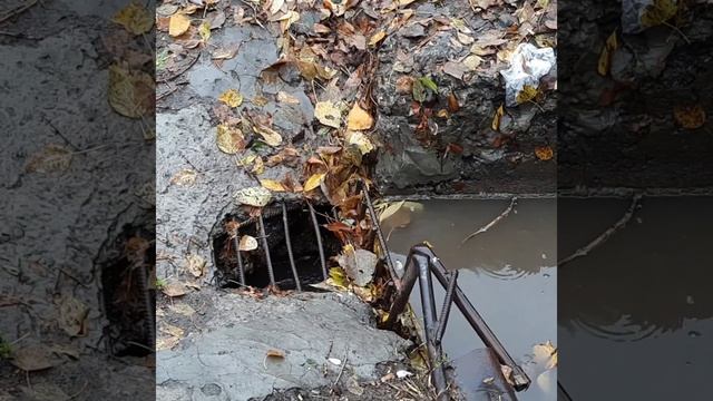 Рабочие чистят ливневую канализацию от листьев.Саратов.