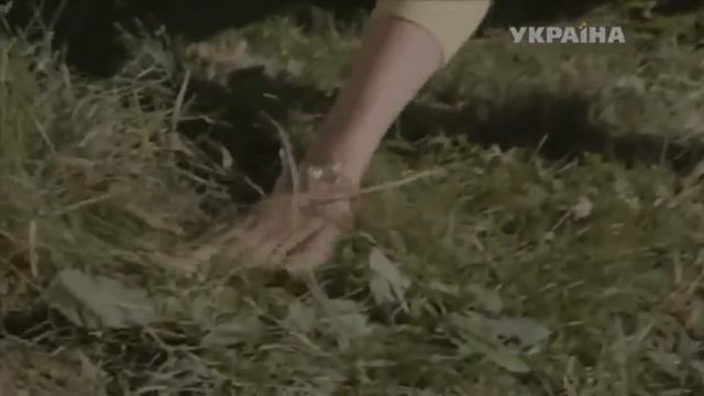 Аня и Артём 'Надо успеть' P S Вика смотреть онлайн