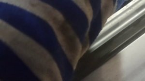 ЗАЗ шанс, Шевроле Ланос, подключение китайского центрального замка с ду