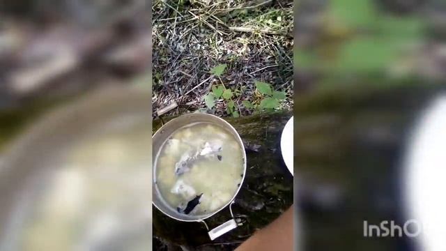 Небольшой обзор нашей рыбалки на Обском водохранилище в селе Масляха "ОХОТА-РЫБАЛКА в Алтайском кра смотреть онлайн