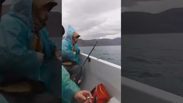 Как правильно звать дельфинов!!! Рыбалка на море!!! Море рыбы!!)))) смотреть онлайн