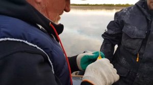 Ачинск.  Рыбалка, сентябрь 2023 г, Промбор.