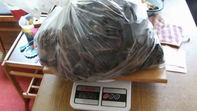 ЧТО ТАКОЕ МИДИЯ И КАК ЕЕ ОСВОБОДИТЬ ОТ РАКУШКИ смотреть онлайн