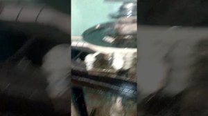 Как извлечь закисший шрус