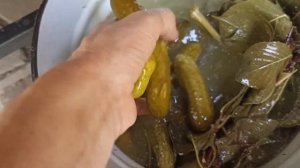 Квашеные огурцы на зиму.
