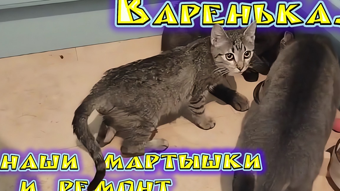 Варенька, наши мартышки и ремонт. смотреть онлайн