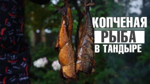 КОПЧЁНАЯ СКУМБРИЯ ЗА 5 МИНУТ ✔️ РЫБА В ТАНДЫРЕ