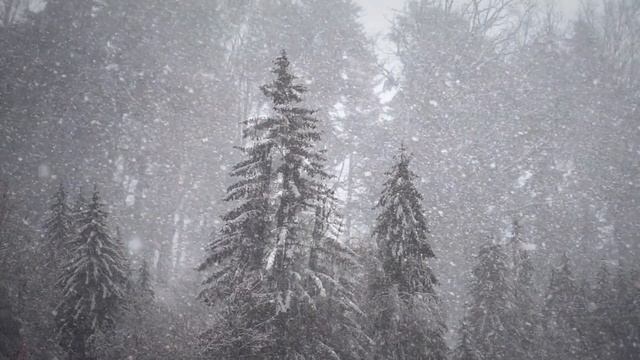 Клод Дебюсси " Снег Танцует" пьесса из цикла "Детский уголок" смотреть онлайн