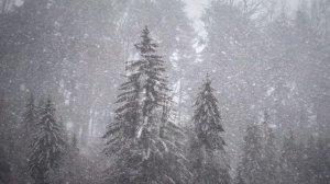 Клод Дебюсси " Снег Танцует" пьесса из цикла "Детский уголок"