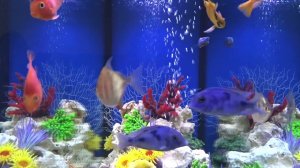 Аквариум в стиле «Псевдоморе»