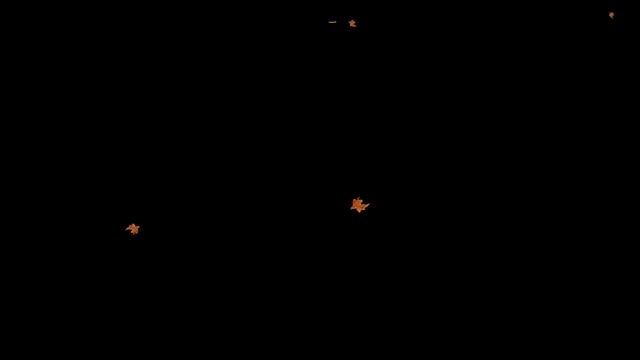 Футаж Осенние листья 02 с альфаканалом