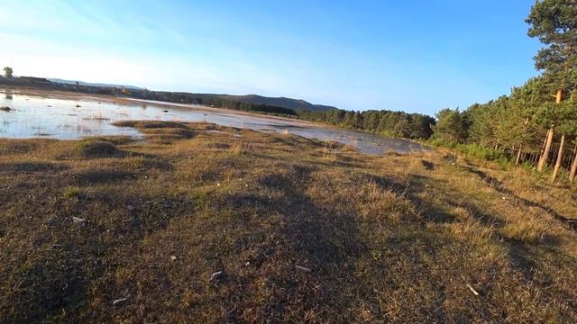 Утки у самой улицы Усть Баргузин смотреть онлайн