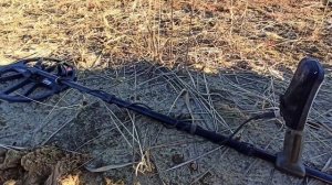 коп с эквиноксом 600 (видеонарезка)