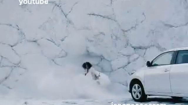 toyota ist ad 3 смотреть онлайн