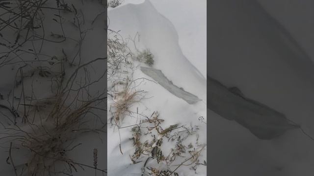 снегопад укрыл мои укрытия смотреть онлайн