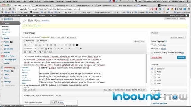 WordPress Calls to Action Plugin смотреть онлайн
